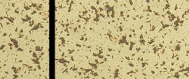 內(nèi)外墻乳膠漆